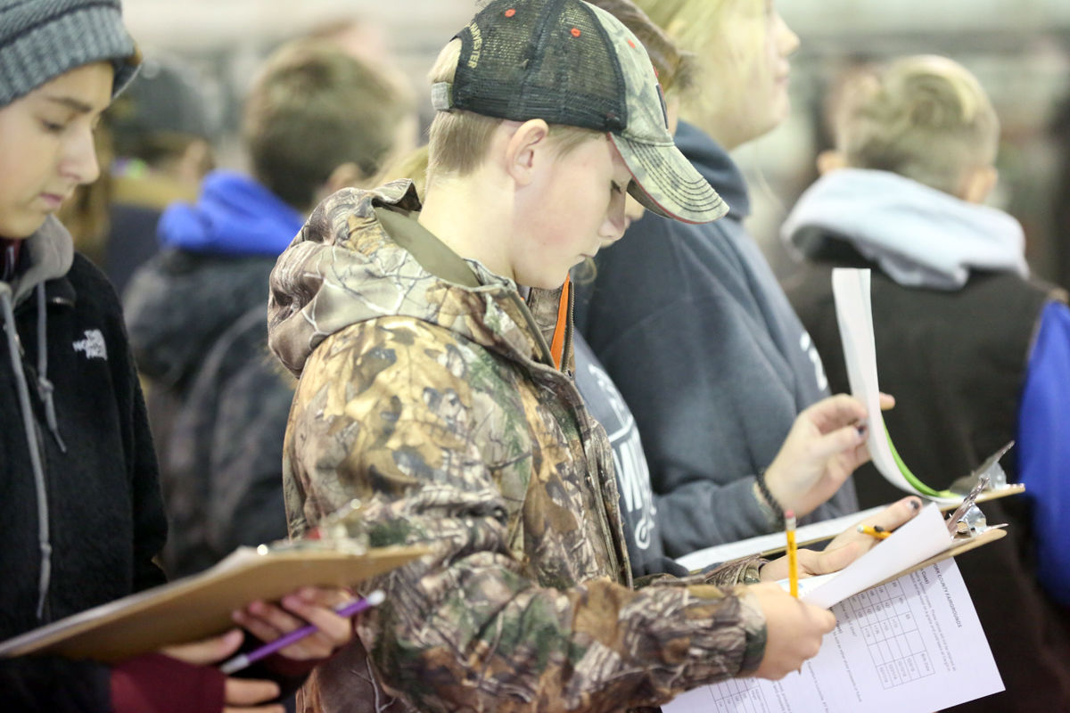FFA Livestock Judging (11).JPG